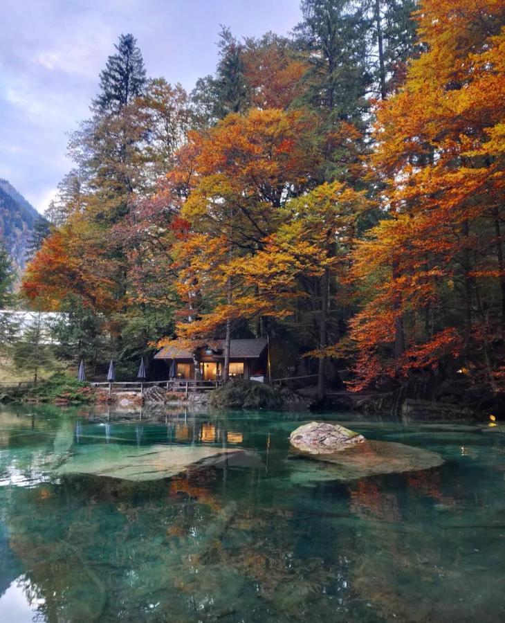 Mountain Oasis Apartment Kandersteg-Adelboden Kandergrund Bagian luar foto
